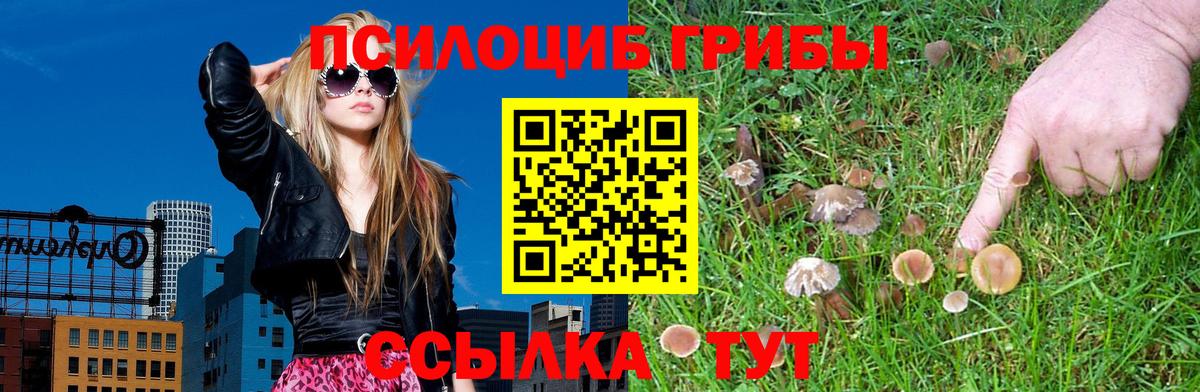 Галлюциногенные грибы Psilocybine cubensis  Галлюциногенные грибы мицелий  Вход с VPN  Кизляр 